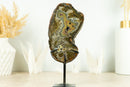 Rare Natural Undyed Agate Slice with Spectacular Agate Drawings, on Display