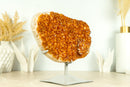 Gorgeous Citrine Geode Cluster with Deep Orange, Galaxy Citrine Crystal Druzy - 4.7 Kg - 10.4 lb - E2D Crystals & Minerals