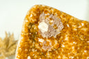 X- Large Orange Citrine Geode Cluster with Crystal Calcite Flower, Abundance Crystal