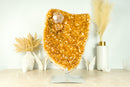 X- Large Orange Citrine Geode Cluster with Crystal Calcite Flower, Abundance Crystal