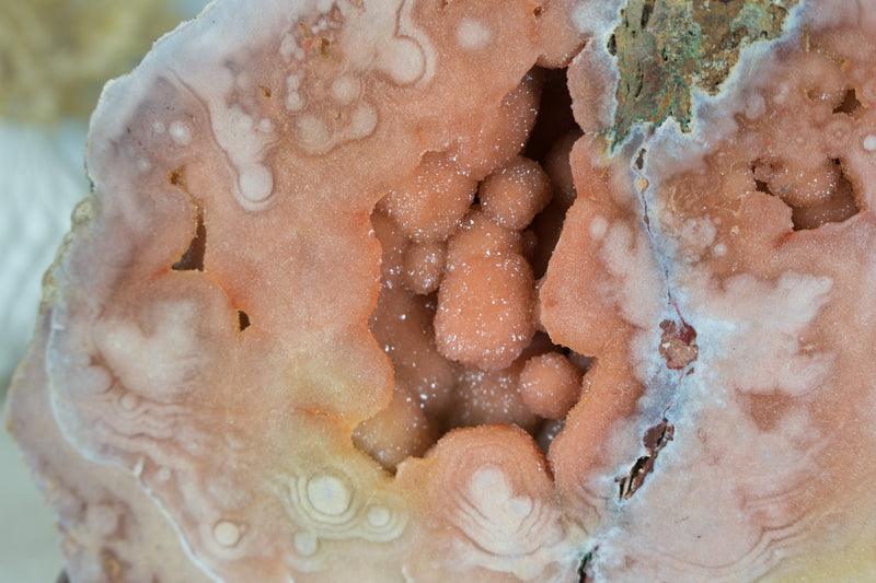 Natural Pink Amethyst Geode Slice with Galaxy Pink Amethyst Druzy formed as Anatomical Lungs