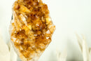 Small Deep Orange Citrine Crystal Cluster on Stand