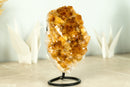 Small Deep Orange Citrine Crystal Cluster on Stand