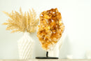 Small Deep Orange Citrine Crystal Cluster on Stand