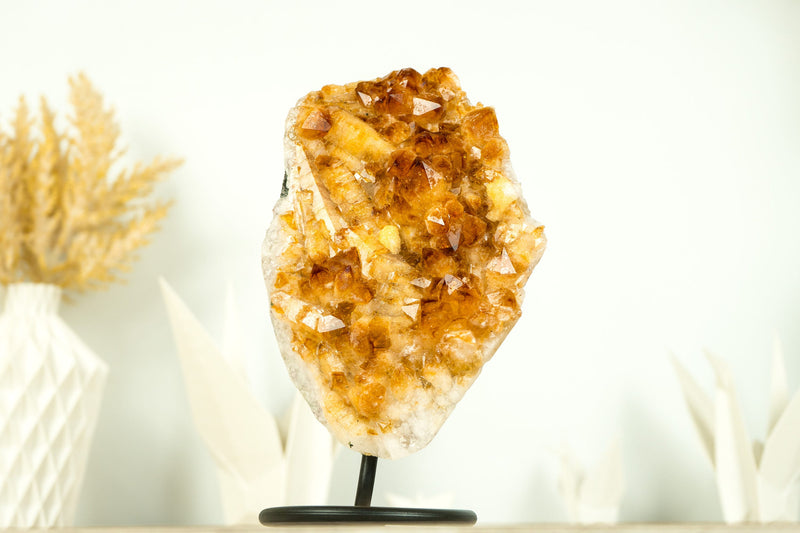Small Deep Orange Citrine Crystal Cluster on Stand