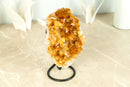 Small Deep Orange Citrine Crystal Cluster on Stand