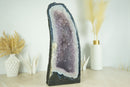 Großer blauer Spitzenachat mit Lavendel-Amethyst-Drusengeode-Kathedrale und Blumenrosetten