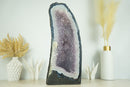Großer blauer Spitzenachat mit Lavendel-Amethyst-Drusengeode-Kathedrale und Blumenrosetten