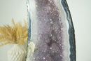 Großer blauer Spitzenachat mit Lavendel-Amethyst-Drusengeode-Kathedrale und Blumenrosetten