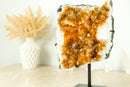 Gorgeous Deep Orange Natural Citrine Cluster with Citrine Stalactite Rosettes