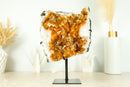 Gorgeous Deep Orange Natural Citrine Cluster with Citrine Stalactite Rosettes