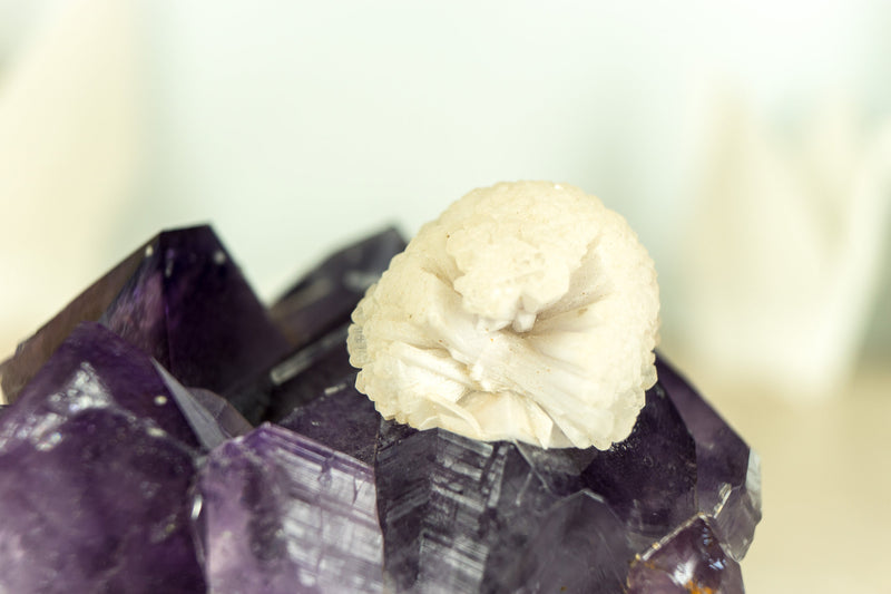 Rare Rich Purple Amethyst Cluster with Grape Jelly Amethyst Druzy and XL Cristobalite Flower