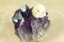Rare Rich Purple Amethyst Cluster with Grape Jelly Amethyst Druzy and XL Cristobalite Flower