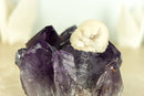 Rare Rich Purple Amethyst Cluster with Grape Jelly Amethyst Druzy and XL Cristobalite Flower