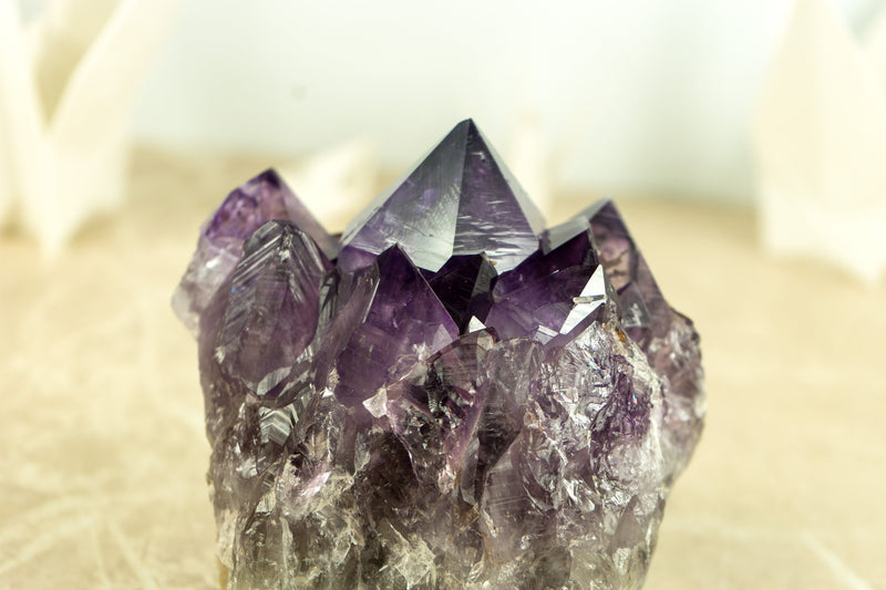 AAA Intact Deep Purple Amethyst Cluster, All Natural, Raw