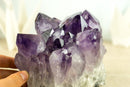 Natural Amethyst Cluster with Large Grape Jelly Amethyst Druzy, Self Standing