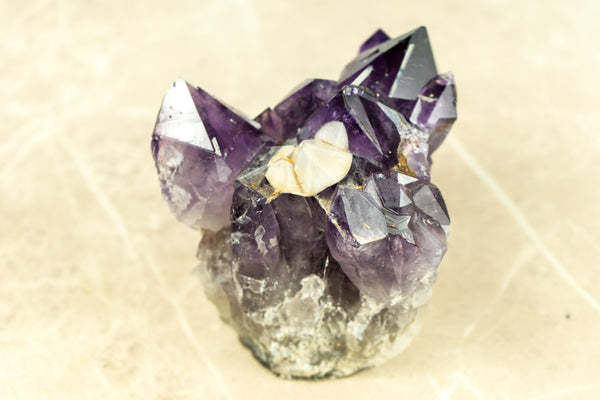 Rare Purple Amethyst Cluster with Grape Jelly Amethyst Druzy and Cristobalite Point