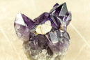 Rare Purple Amethyst Cluster with Grape Jelly Amethyst Druzy and Cristobalite Point