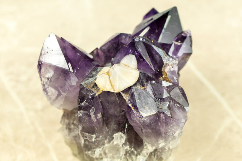 Seltener lila Amethyst-Cluster mit Traubengelee-Amethyst-Druse und Cristobalit-Spitze