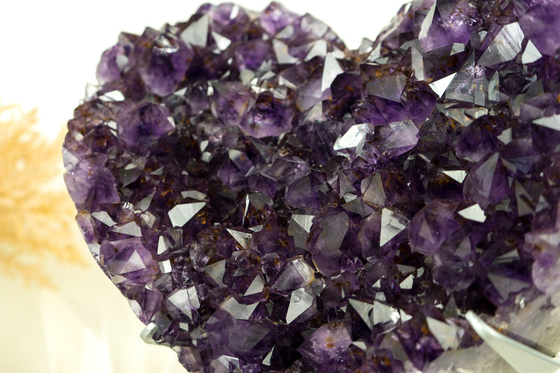 X-Large AAA Amethyst, with Deep Purple Amethyst Druzy and Golden Goethite (Cacoxenite), Natural & Ethical - 9.8 Kg - 21.5 lb - E2D Crystals & Minerals