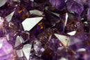 X-Large AAA Amethyst, with Deep Purple Amethyst Druzy and Golden Goethite (Cacoxenite), Natural & Ethical - 9.8 Kg - 21.5 lb - E2D Crystals & Minerals