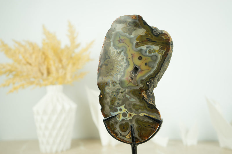 Rare Natural Undyed Agate Slice with Spectacular Agate Drawings, on Display