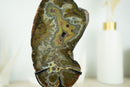 Rare Natural Undyed Agate Slice with Spectacular Agate Drawings, on Display