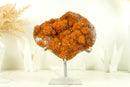 Deep Orange Citrine with Stalactite Flower and Cognac Orange Galaxy Citrine Druzy - 2.2 Kg - 4.7 lb - E2D Crystals & Minerals