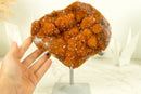 Deep Orange Citrine with Stalactite Flower and Cognac Orange Galaxy Citrine Druzy - 2.2 Kg - 4.7 lb - E2D Crystals & Minerals