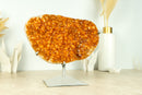 Gorgeous Citrine Geode Cluster with Deep Orange, Galaxy Citrine Crystal Druzy - 4.7 Kg - 10.4 lb - E2D Crystals & Minerals