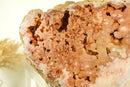 Pink Amethyst Geode of World Class AAA Quality, with Pink and Red Amethyst Galaxy Druzy