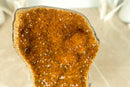 Deep Orange Galaxy Citrine Cluster with Galaxy Crystal Druzy and Flower Rosettes