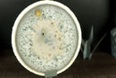 Rare Narural White Lace Agate Slice with Crystal Interior