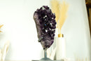 Tall AAA Amethyst Cluster with Large Deep Purple Amethyst Druzy on Stand