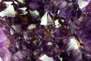 X-Large AAA Amethyst, with Deep Purple Amethyst Druzy and Golden Goethite (Cacoxenite), Natural & Ethical - 9.8 Kg - 21.5 lb - E2D Crystals & Minerals