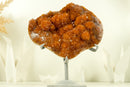 Deep Orange Citrine with Stalactite Flower and Cognac Orange Galaxy Citrine Druzy - 2.2 Kg - 4.7 lb - E2D Crystals & Minerals