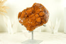 Deep Orange Citrine with Stalactite Flower and Cognac Orange Galaxy Citrine Druzy - 2.2 Kg - 4.7 lb - E2D Crystals & Minerals