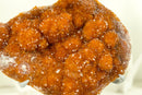 Deep Orange Citrine with Stalactite Flower and Cognac Orange Galaxy Citrine Druzy - 2.2 Kg - 4.7 lb - E2D Crystals & Minerals