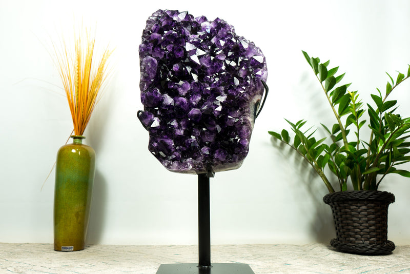 XL-Cluster aus sattem violettem Amethyst-Geoden, AAA, Traubengelee-Amethyst, hoch und aus ethischer Gewinnung
