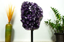 X-Large Rich Purple Amethyst Geode Cluster, AAA, Grape Jelly Amethyst, Tall & Ethically Sourced