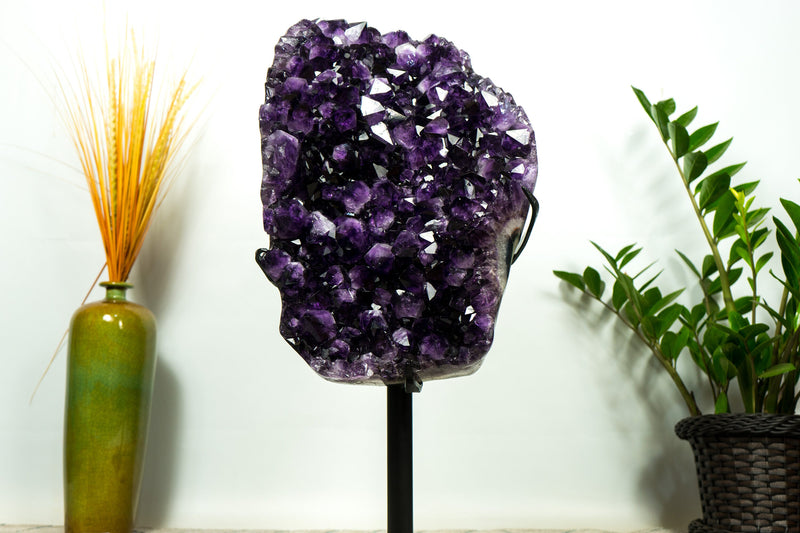 XL-Cluster aus sattem violettem Amethyst-Geoden, AAA, Traubengelee-Amethyst, hoch und aus ethischer Gewinnung