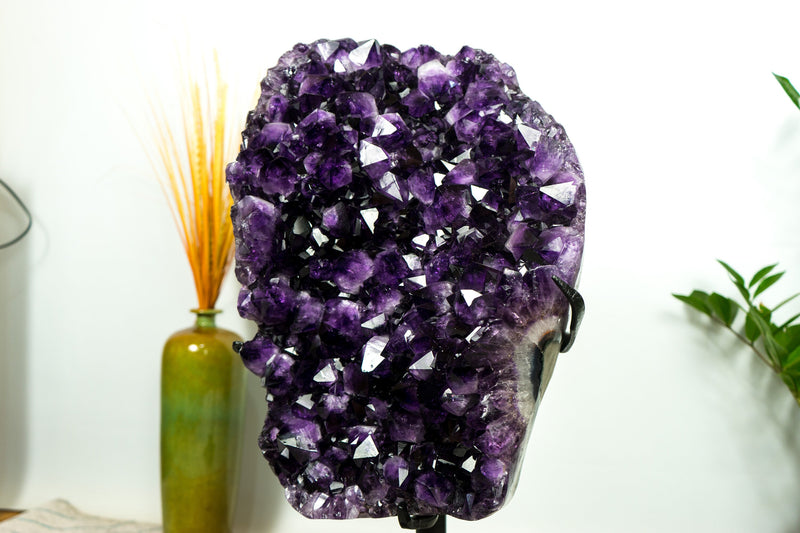 XL-Cluster aus sattem violettem Amethyst-Geoden, AAA, Traubengelee-Amethyst, hoch und aus ethischer Gewinnung
