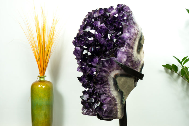 XL-Cluster aus sattem violettem Amethyst-Geoden, AAA, Traubengelee-Amethyst, hoch und aus ethischer Gewinnung