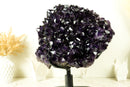 World-Class X-Large Amethyst Geode Flower on 360º Stand with Large AAA Dark Purple Amethyst Druzy