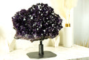 World-Class X-Large Amethyst Geode Flower on 360º Stand with Large AAA Dark Purple Amethyst Druzy