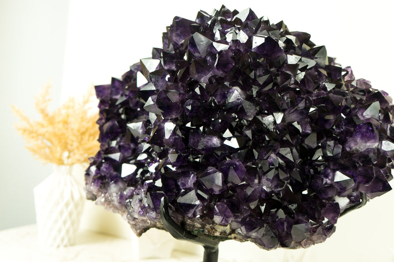 World-Class X-Large Amethyst Geode Flower on 360º Stand with Large AAA Dark Purple Amethyst Druzy