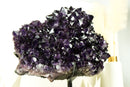 World-Class X-Large Amethyst Geode Flower on 360º Stand with Large AAA Dark Purple Amethyst Druzy