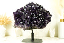 World-Class X-Large Amethyst Geode Flower on 360º Stand with Large AAA Dark Purple Amethyst Druzy