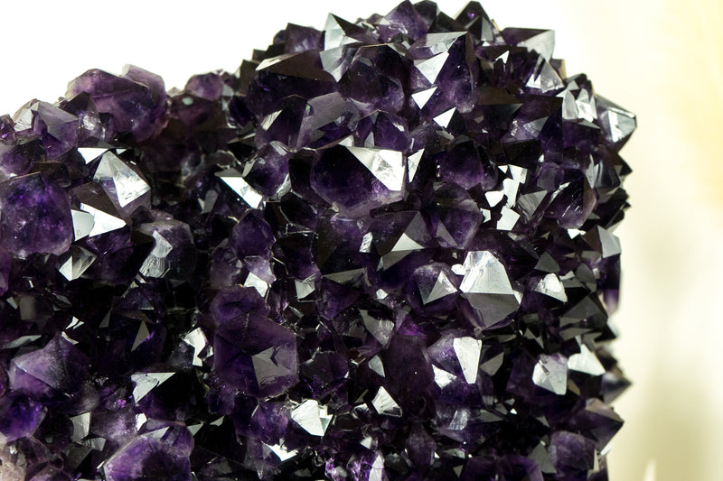 World-Class X-Large Amethyst Geode Flower on 360º Stand with Large AAA Dark Purple Amethyst Druzy
