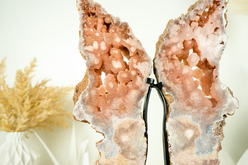Rosa Amethyst Flügel, AAA Rosa Schmetterlingsflügel Geode mit Galaxy Amethyst Druzy
